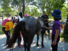 School Holiday Programme-Own A Pony Day